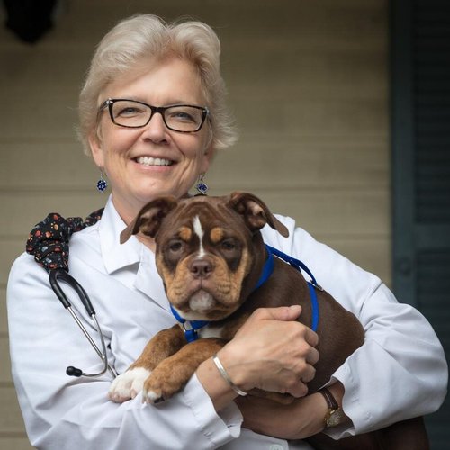 Dr. Laura Collins, DMV