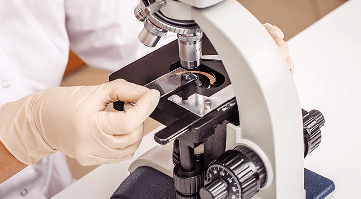 Veterinarian looking into a microscope